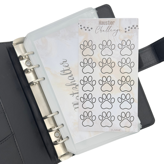 Budget Binder Challenges A6